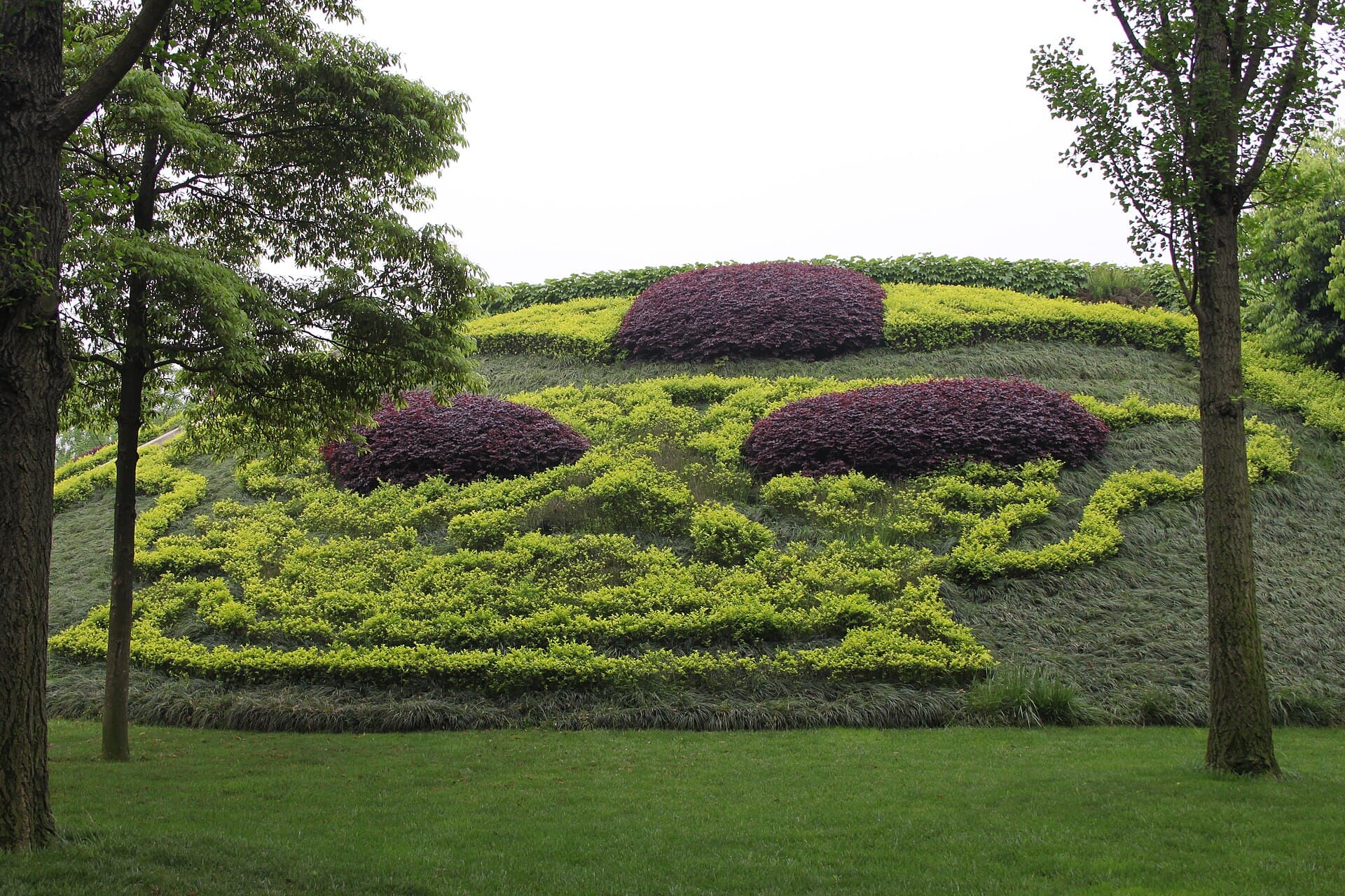 Лавандовый дуэт #34