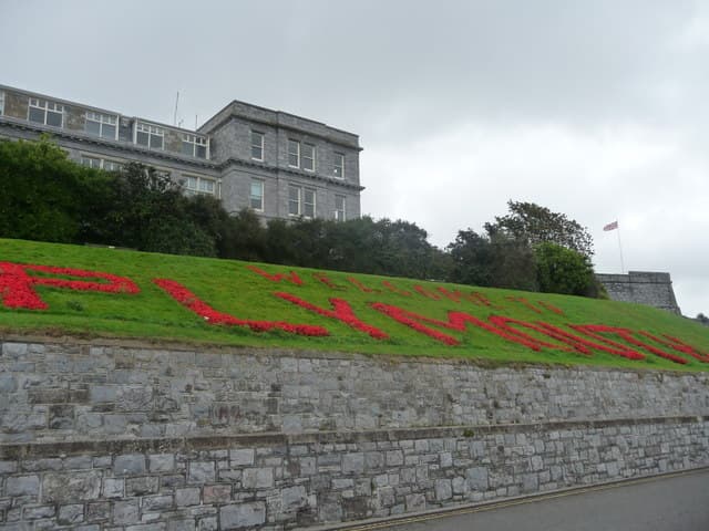 Белый акцент #119